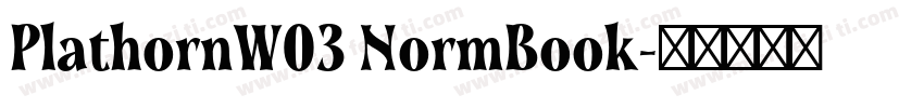 PlathornW03 NormBook字体转换